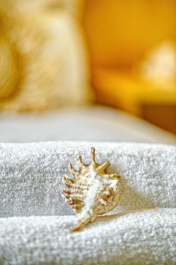 Nautilus * Áfra